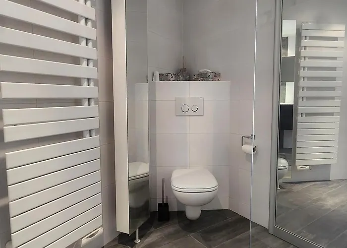 Apartment Le Galles Cannes